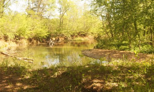 Lot 1 Booth Creek Rd, Williford, AR, 72482 | Card Image