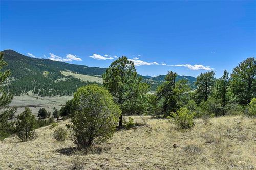 87 Wagon Wheel Cir, Guffey, CO, 80820 | Card Image