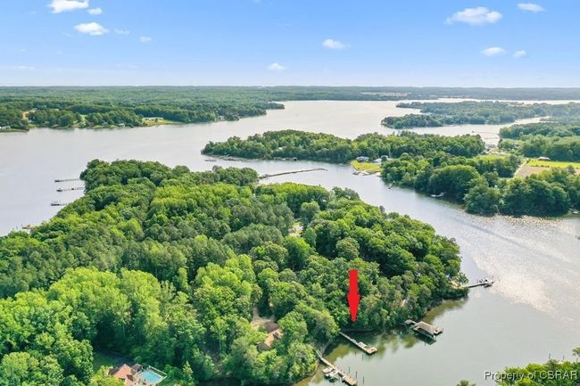 Aerial view of a large body of water and a forest | Image 9