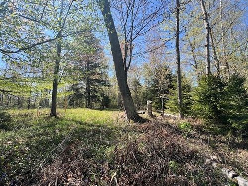 000 N Shore Dr, Northport, MI, 49670 | Card Image