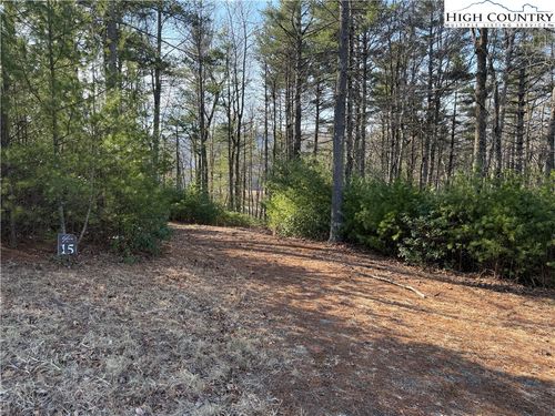 TBD Walden Ln, West Jefferson, NC, 28694 | Card Image
