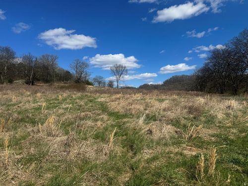 Lot 6 Salt Lick Creek Rd, Pleasant Shade, TN, 37145 | Card Image