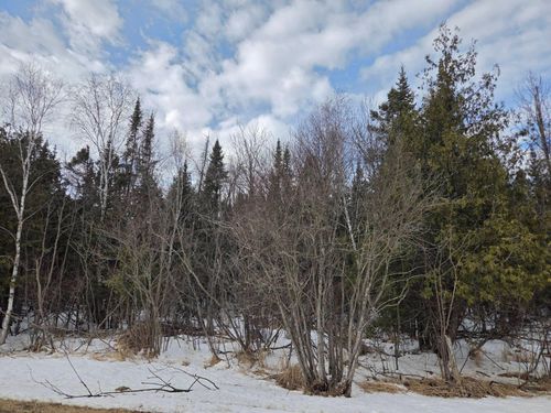 TBD Three Mile Rd Ne, Blackduck, MN, 56630 | Card Image