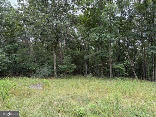 9 Pine Tree Drive, BLOOMERY, WV, 26817 | Card Image