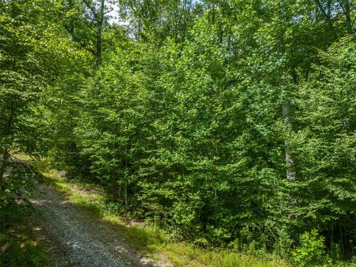 15-13 Tall Cedars, Glenville, NC, 28736 | Card Image