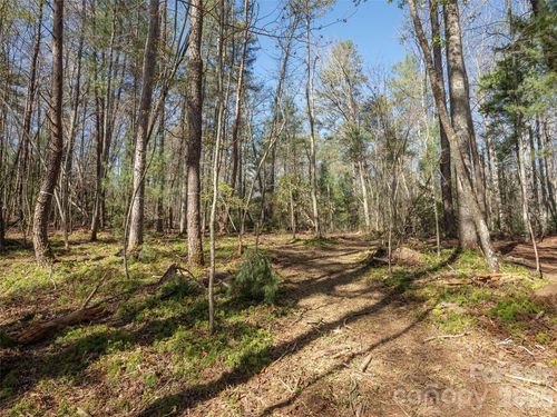 13-137 Nancy Ashworth Ln, Fairview, NC, 28730-8808 | Card Image