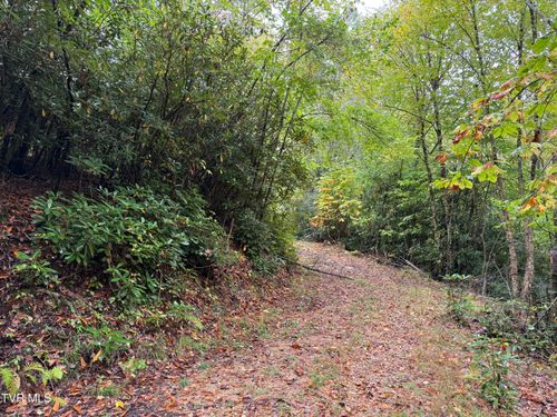 Tbd Clarktown Rd, Roan Mountain, TN, 37687 | Card Image