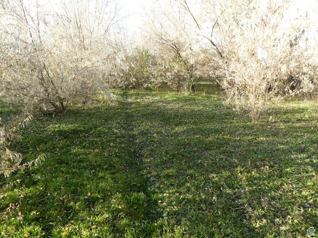 View of nature | Image 17