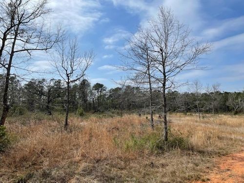 10765 Mary Ann Beach Rd, Fairhope, AL, 36532 | Card Image