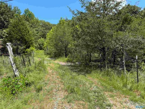 494 County Road 221, Scottsboro, AL, 35768-6626 | Card Image