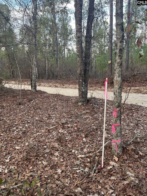 GOO 10A Wendell Lane, Wagener, SC, 29164 | Card Image