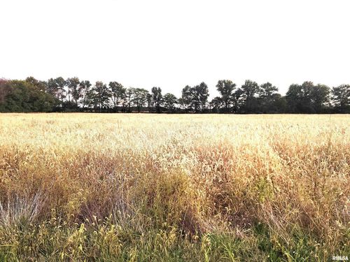 1682 E Coon Creek Ln, Flora, IL, 62839 | Card Image