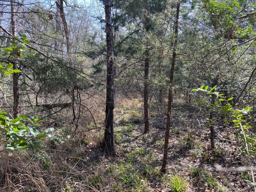 na County Road 901, Jewett, TX, 75846 | Card Image