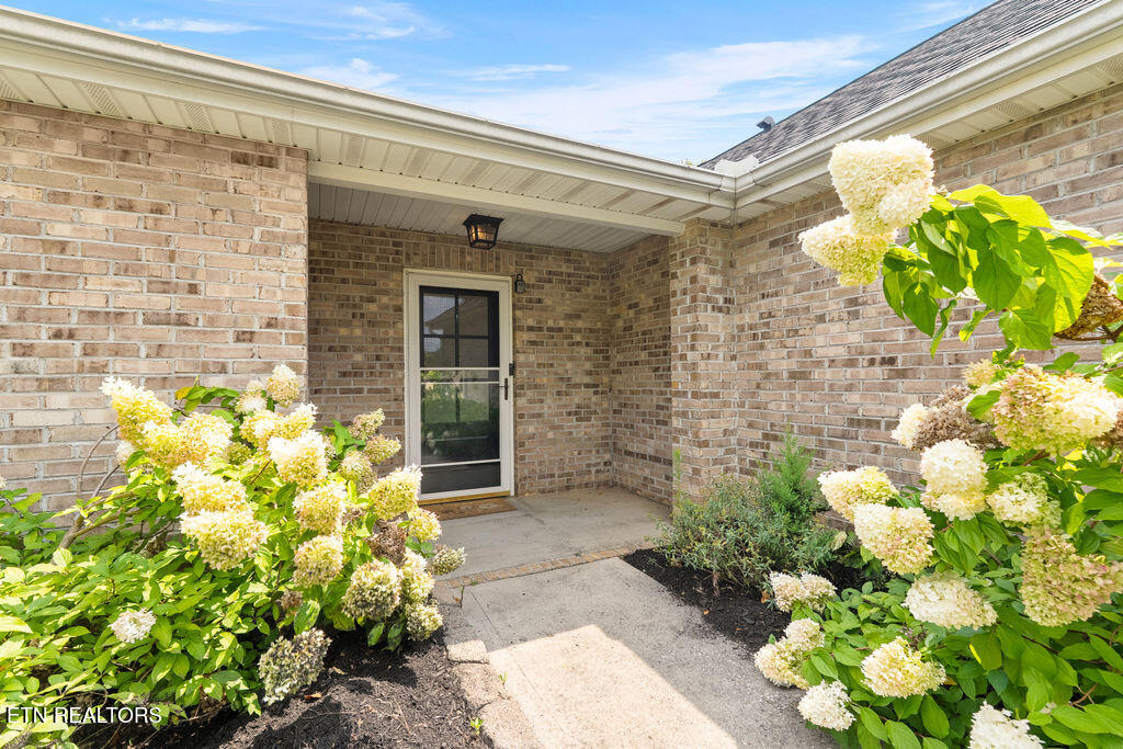 Residential in Knoxville 3