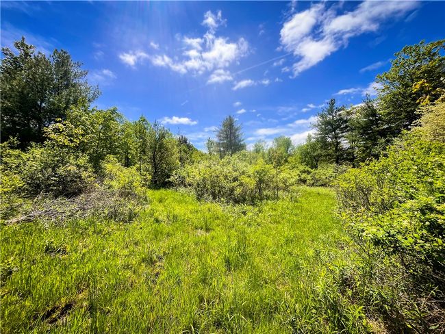 200 Straw Hill Rd, Home with 0 bedrooms, 0 bathrooms and null parking in Barton NY | Image 6