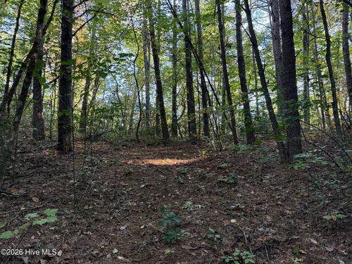00 Rocky Creek Rd, Andrews, NC, 28901 | Card Image