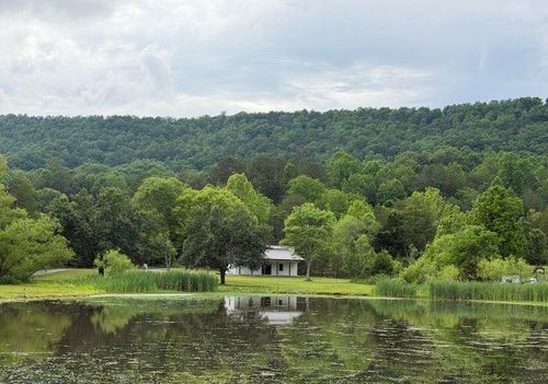 1483 Reagan Valley Rd, Tellico Plains, TN, 37385-4900 | Card Image