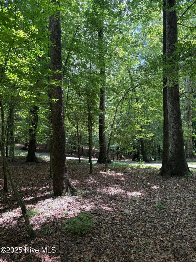 108 Gambit Ct, House other with 4 bedrooms, 3 bathrooms and 2 parking in Washington NC | Image 9