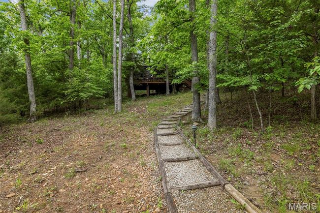 View of yard | Image 57
