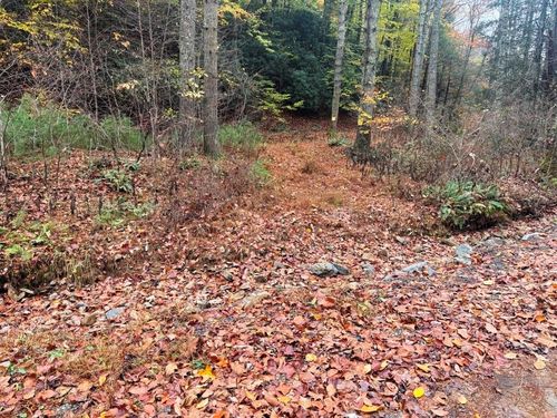 21B Collins Cove Rd, Ivanhoe, VA, 24350 | Card Image