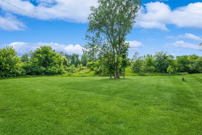 Common Green Space | Image 29