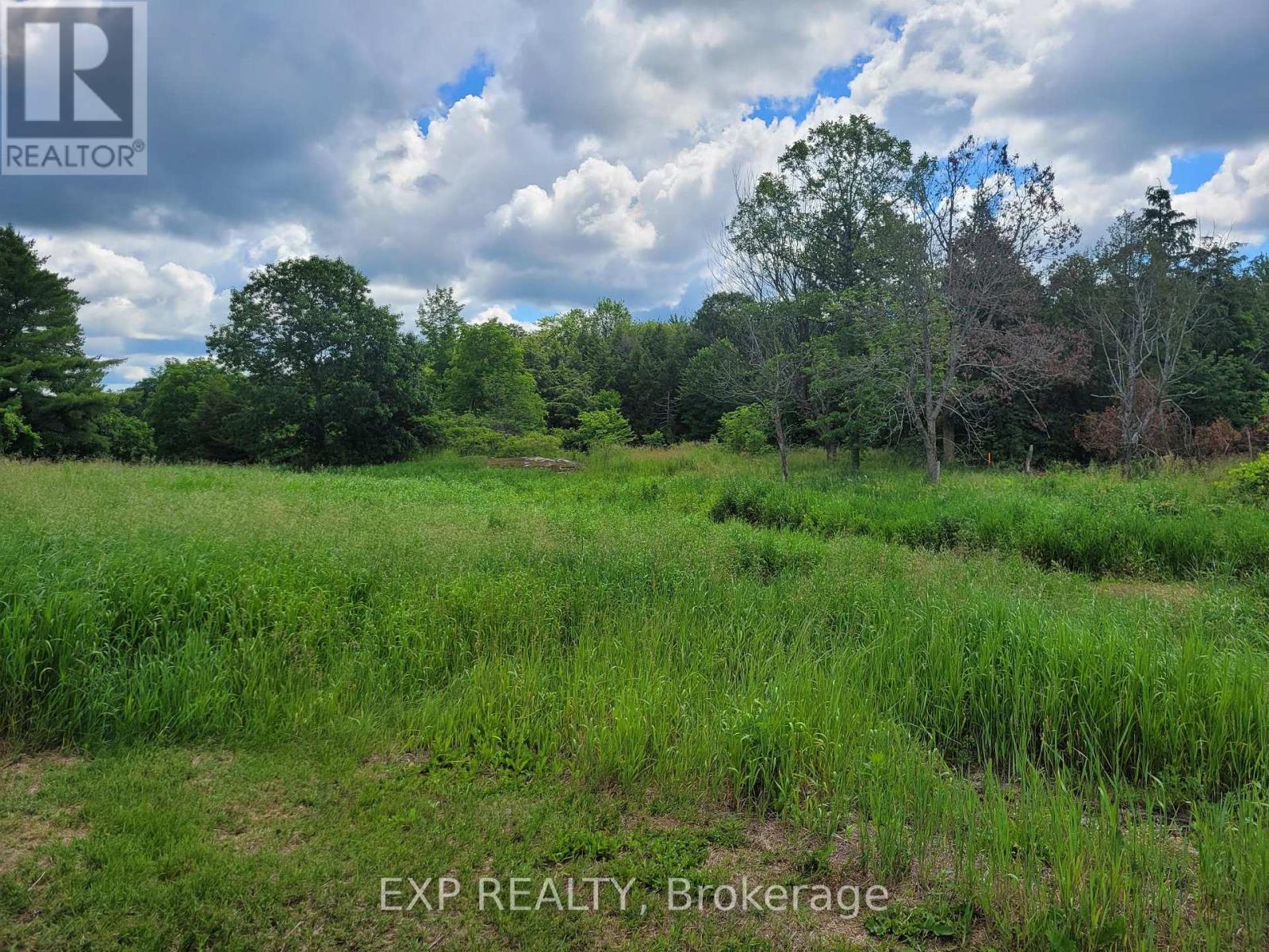 Land in Front of Yonge 4