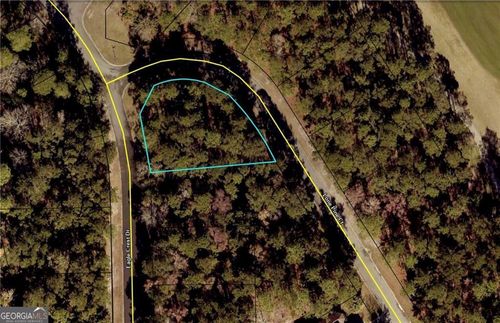 lot-46-0 Eagle Crest Dr, Waverly, GA, 31565 | Card Image