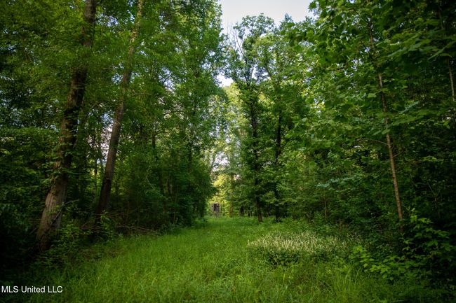 C55A6636 | Image 55