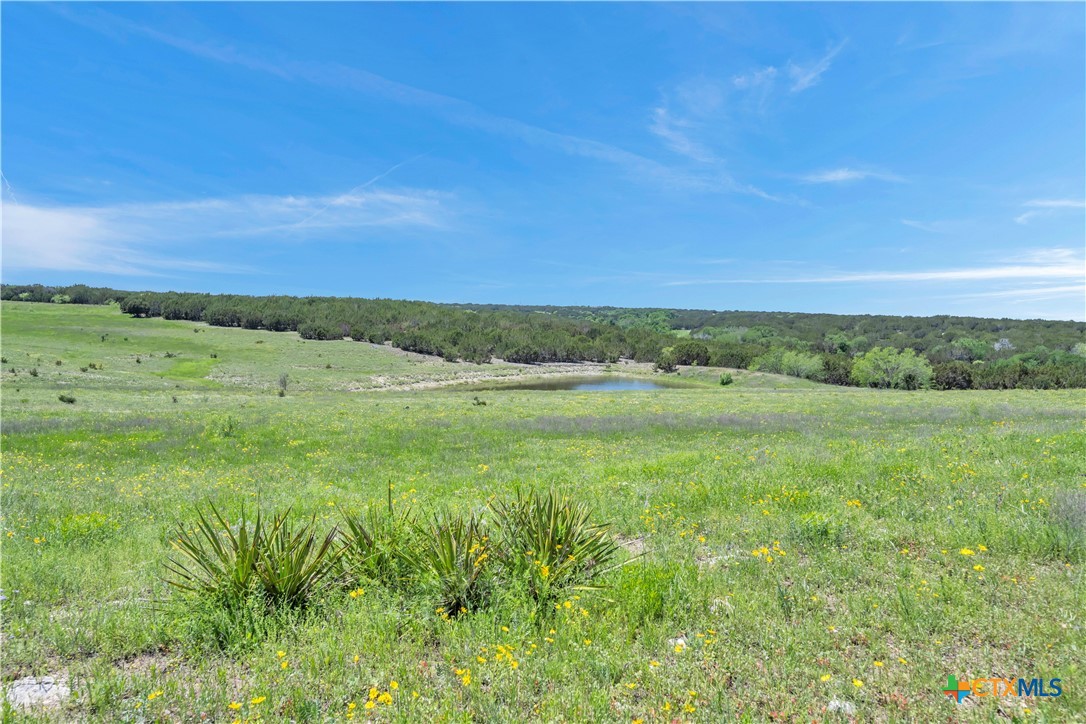 Farm in Burnet 5