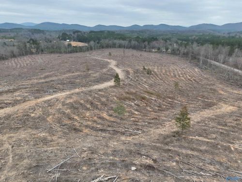 80 AC County Road 75, Cedar Bluff, AL, 35959 | Card Image