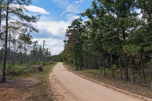 0 Coy Hill Rd, Savannah, TN, 38372 | Card Image