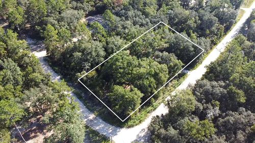 Lot 1 Ne 85th St, BRONSON, FL, 32621 | Card Image