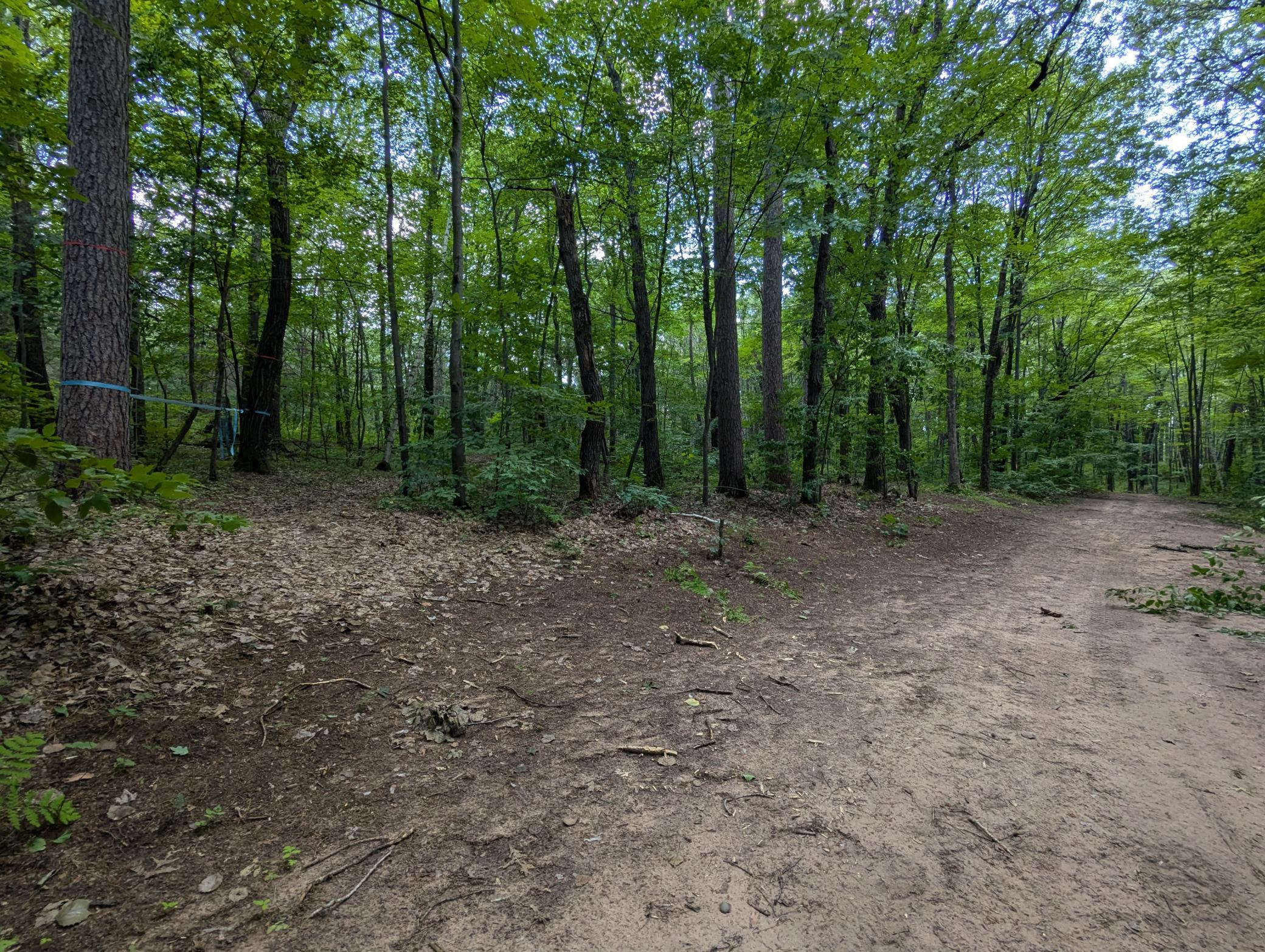 Land in Webster 3