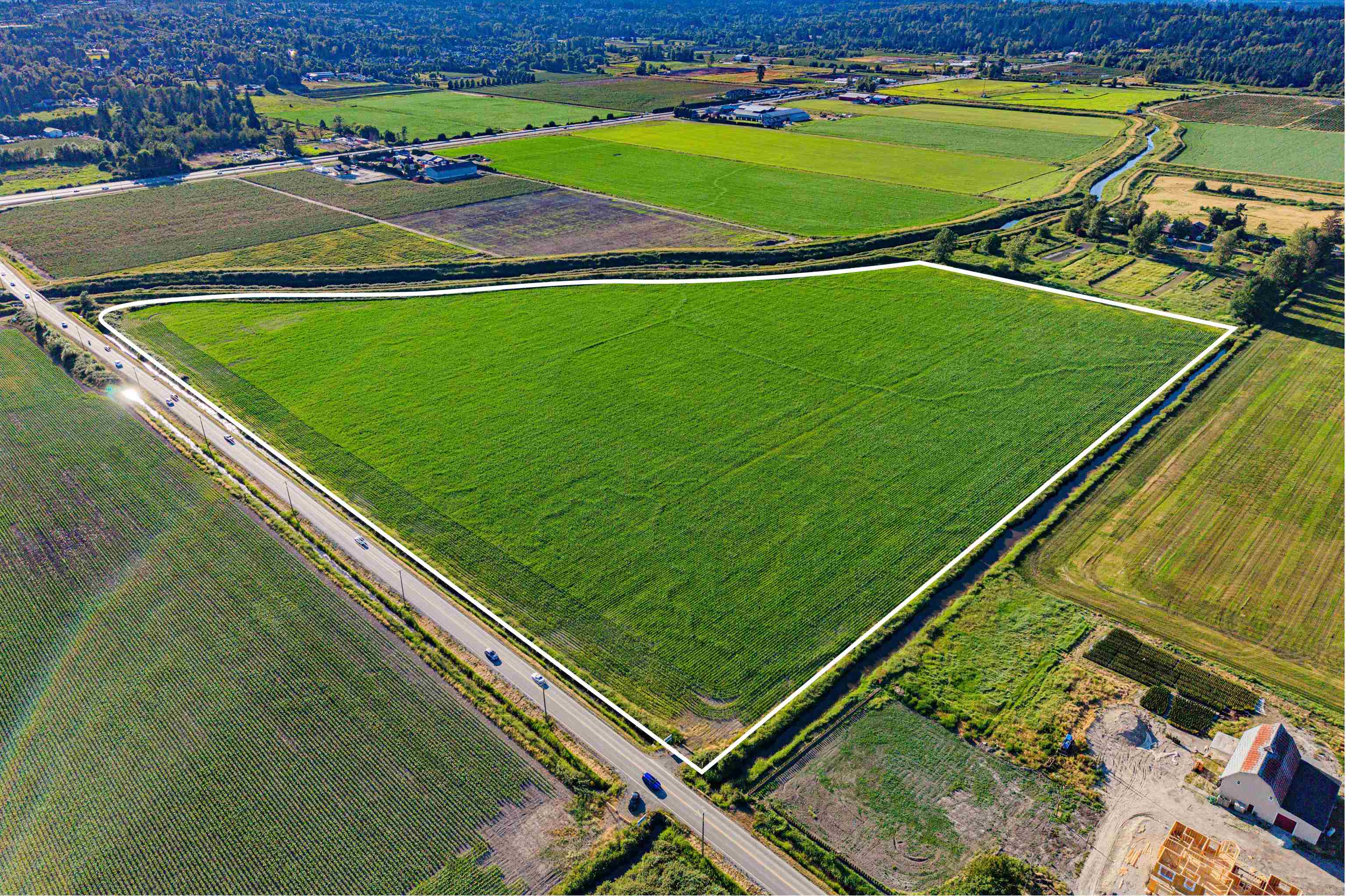 Land in Surrey 2