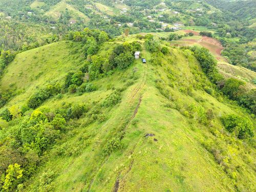 PR 770 KM 2.9 Palo Hincado Ward, Barranquitas, PR, 00794 | Card Image
