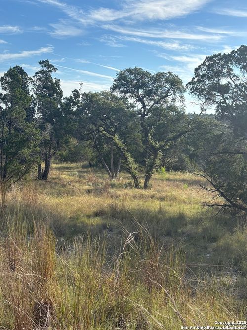 378 Cloudveil, New Braunfels, TX, 78132-3076 | Card Image