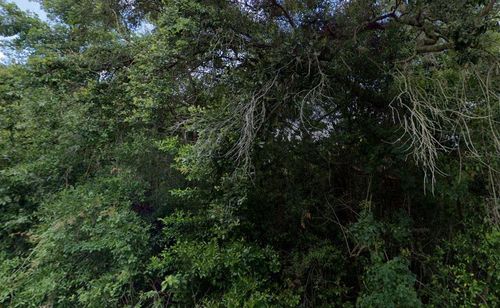 3288/3302 E Alisa Lane, INVERNESS, FL, 34453 | Card Image