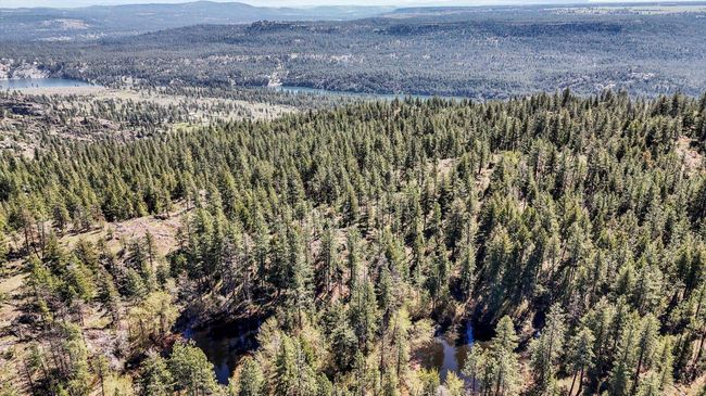 5882 Carey Rd, House other with 5 bedrooms, 3 bathrooms and null parking in Tumtum WA | Image 41