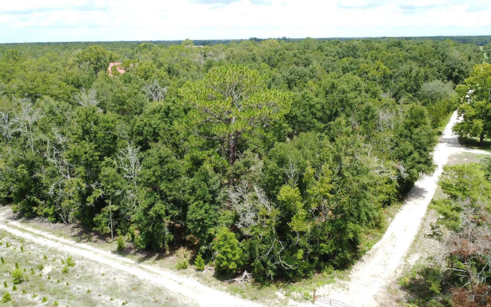 119th Dr, Mc Alpin, FL 32062
