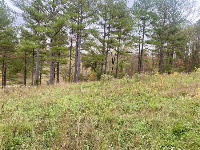 427 Blooming Grove Rd, House other with 2 bedrooms, 2 bathrooms and null parking in Five Points TN | Image 35