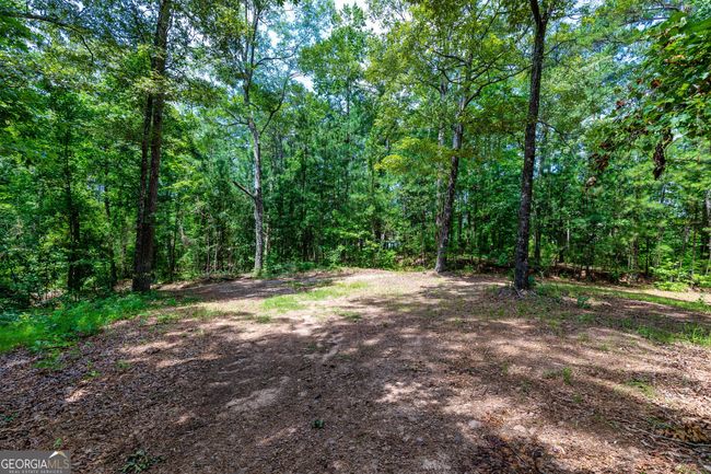 0 John Lovelace Rd, Home with 0 bedrooms, 0 bathrooms and null parking in LAGRANGE GA | Image 19
