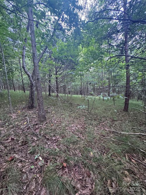 67-0 Cross Creek Dr, Rutherfordton, NC, 28139 | Card Image