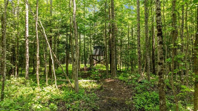 34AC Windsor Rd, Home with 0 bedrooms, 0 bathrooms and null parking in Dutton VA | Image 14