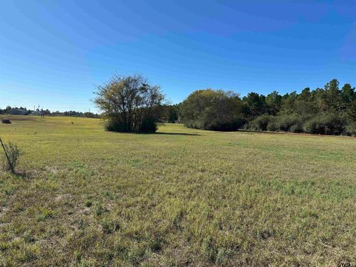 11B / TBD Old Spanish Trial Drive, Alto, TX, 75925 | Card Image