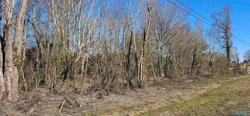 1 +/- Acre Alabama Highway 227, Geraldine, AL, 35974 | Card Image