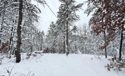 11335 S Broadway Rd, Bitely, MI, 49309 | Card Image