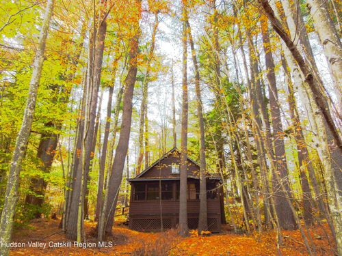 22 Mink Hollow Rd, West Kill, NY, 12492-5631 | Card Image