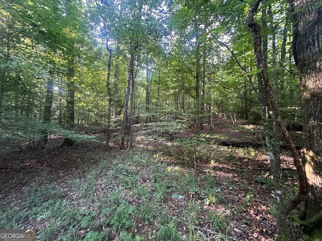 0 Highway 72 E, Home with 0 bedrooms, 0 bathrooms and null parking in Carlton GA | Image 5