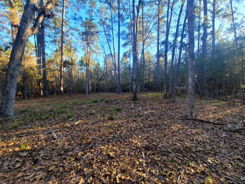 lot-110-sec-15-430 Deergrass Drive, Brookeland, TX, 75931 | Card Image