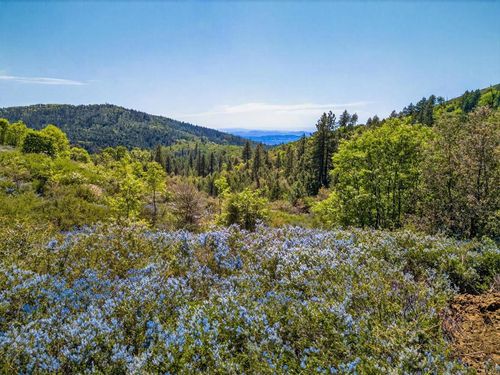 200 +/- Acres Palomar Divide Truck Trail, Palomar Mountain, CA, 92060 | Card Image